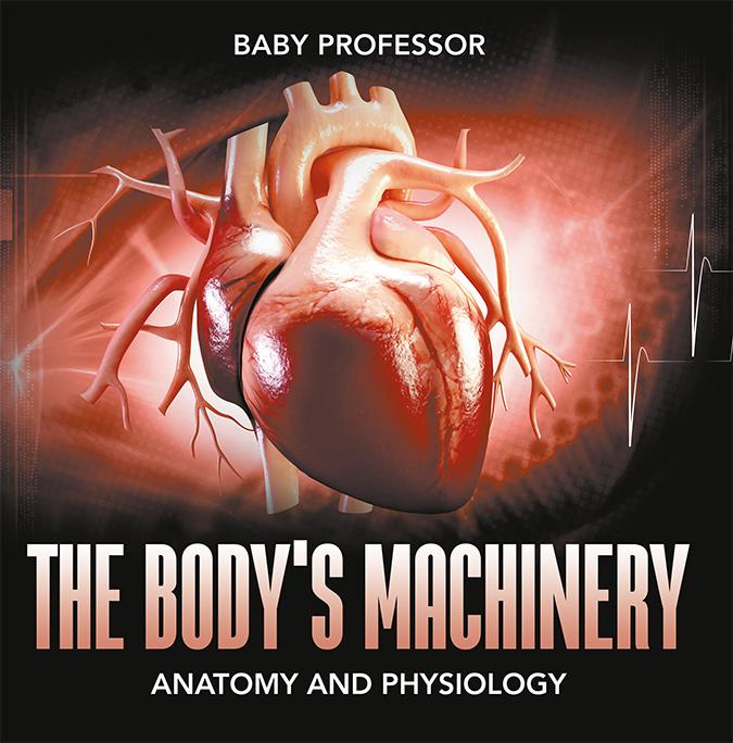 The Body‘s Machinery | Anatomy and Physiology