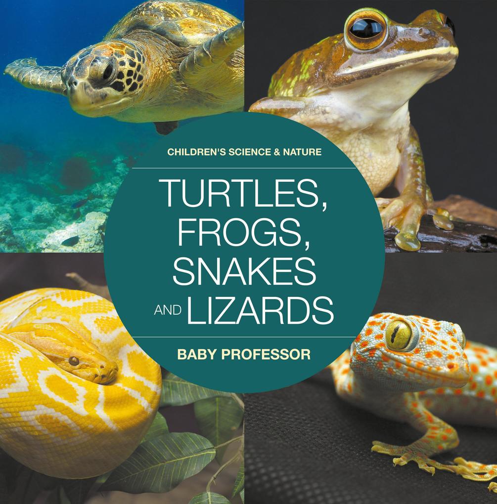 Turtles Frogs Snakes and Lizards | Children‘s Science & Nature