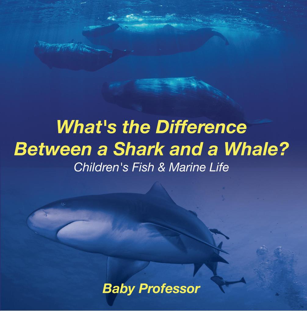 What‘s the Difference Between a Shark and a Whale? | Children‘s Fish & Marine Life