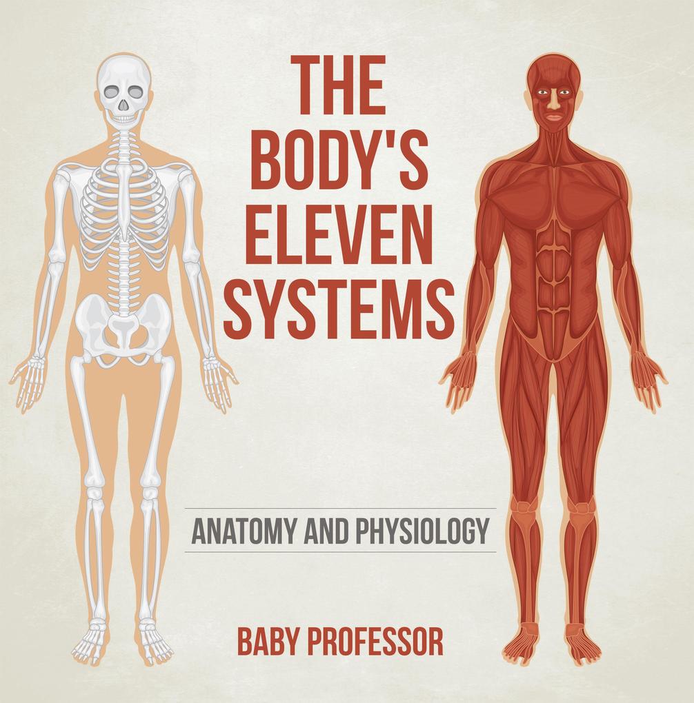 The Body‘s Eleven Systems | Anatomy and Physiology