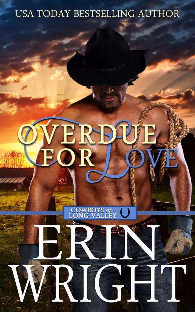 Overdue for Love: A Secret Baby Western Romance (Cowboys of Long Valley Romance #6)