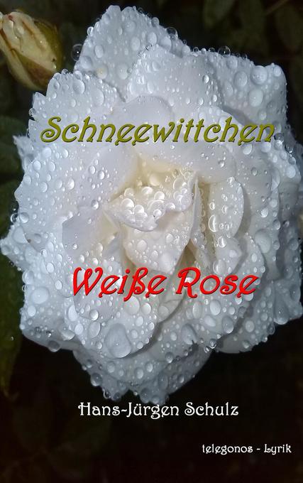 Schneewittchen - Weiße Rose