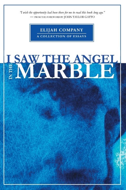 I Saw the Angel in the Marble