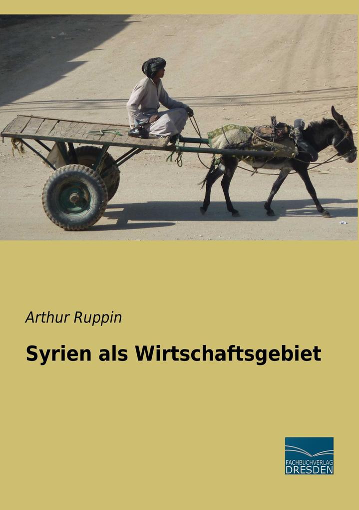 Syrien als Wirtschaftsgebiet