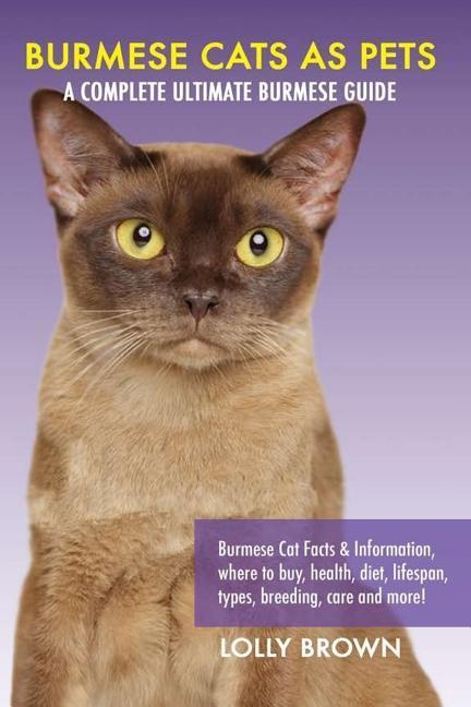 Burmese Cats as Pets: Burmese Cat Facts & Information where to buy health diet lifespan types breeding care and more! A Complete Ulti