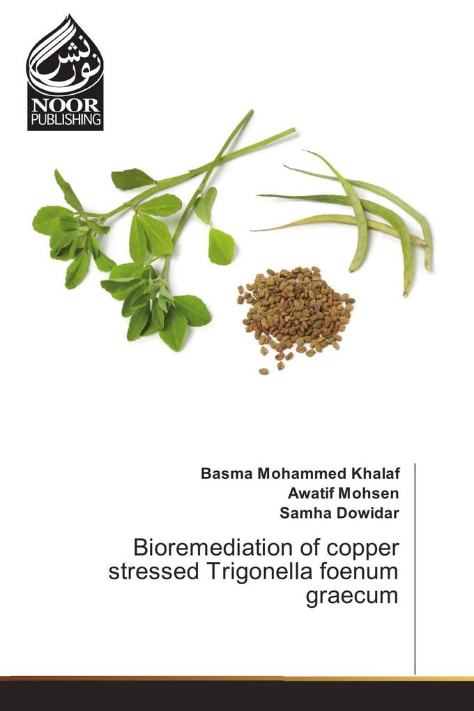 Bioremediation of copper stressed Trigonella foenum graecum