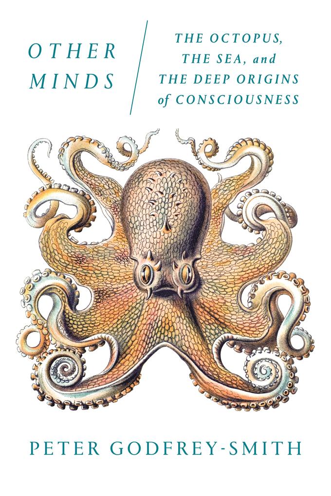 Macmillan Usa Other Minds