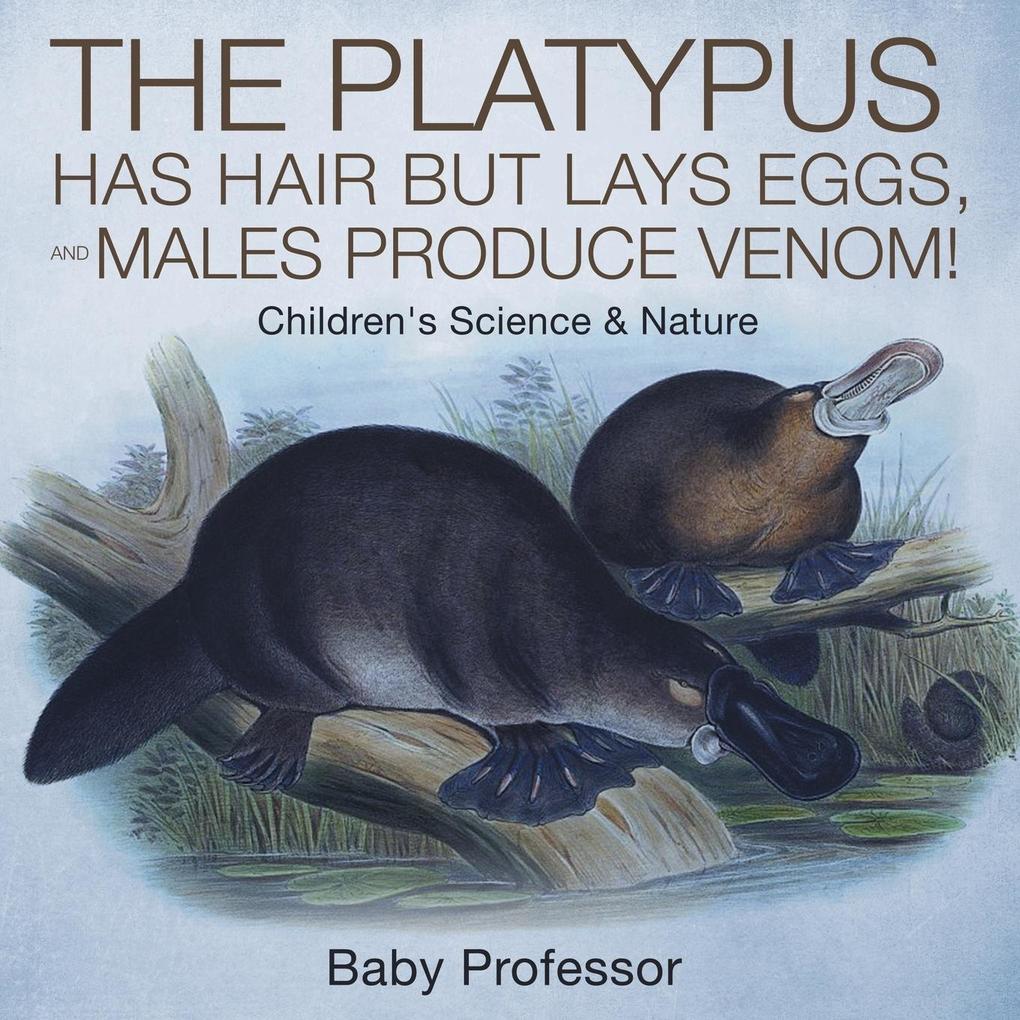 The Platypus Has Hair but Lays Eggs and Males Produce Venom! | Children‘s Science & Nature