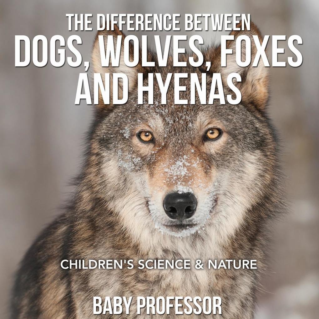 The Difference Between Dogs Wolves Foxes and Hyenas | Children‘s Science & Nature
