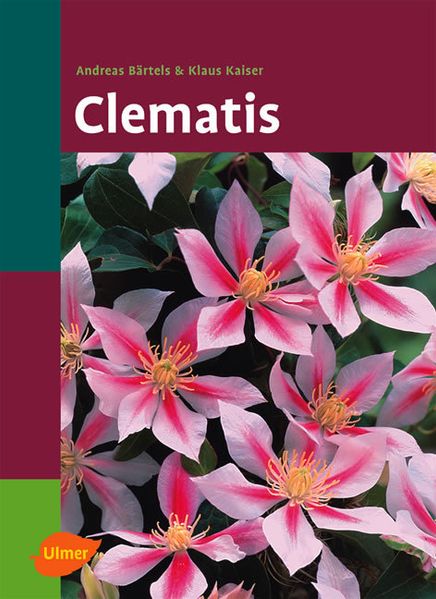 Ulmer Eugen Verlag Clematis - Bild 5