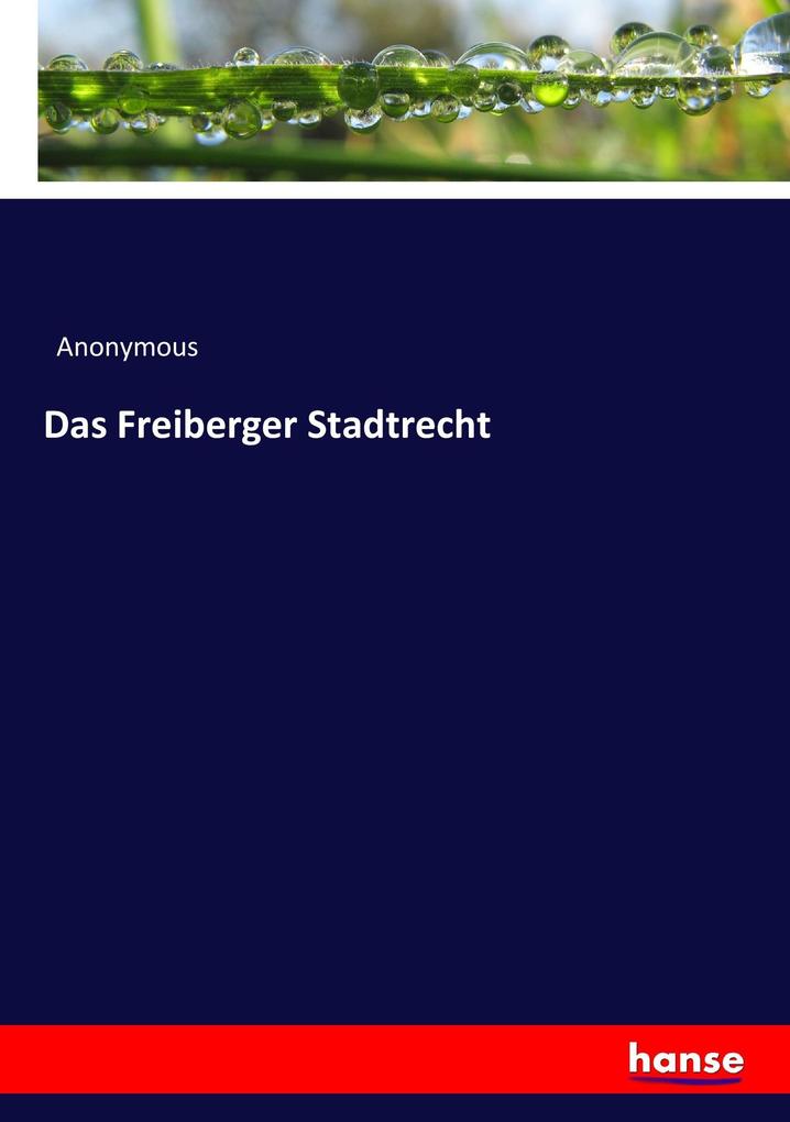 Das Freiberger Stadtrecht