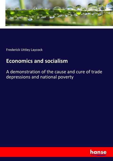 Economics and socialism