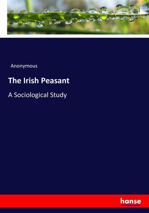 Image of The Irish Peasant