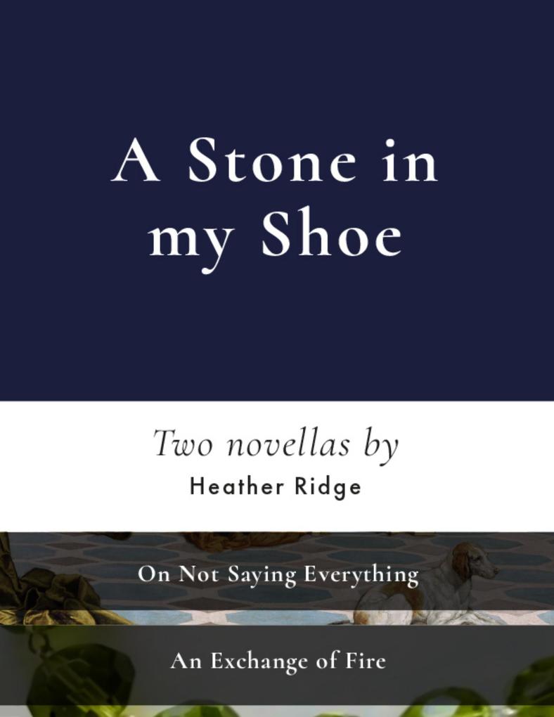 A Stone In My Shoe