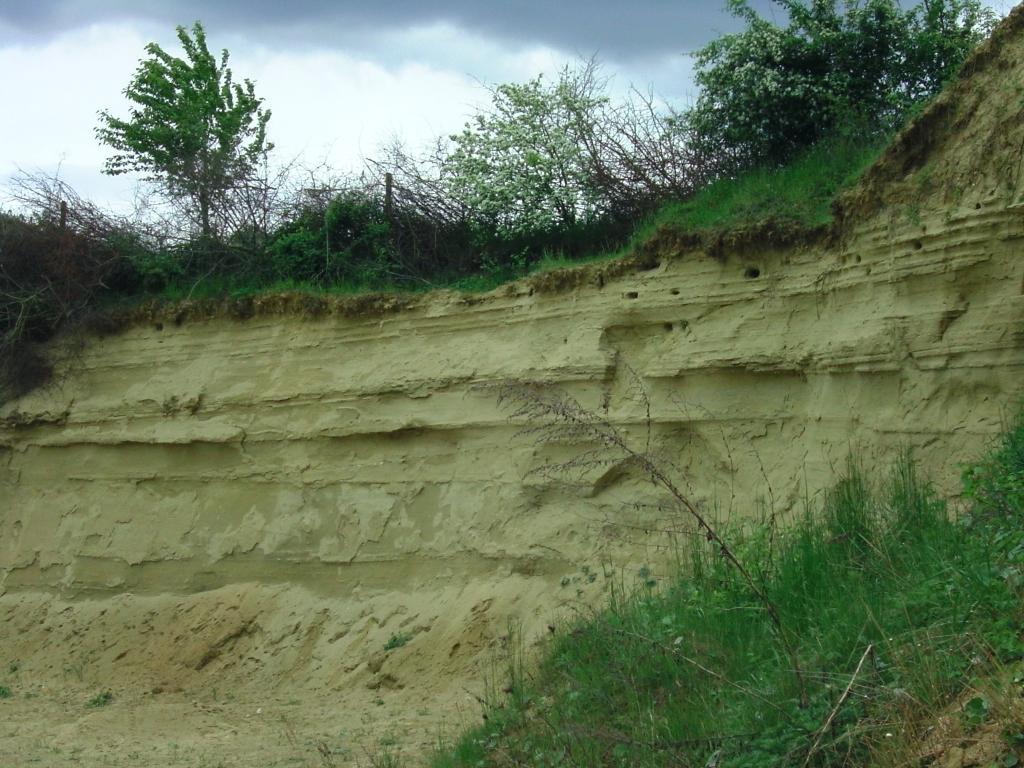 Einige ausgesuchte Mineralien Gesteine und Fossilien aus Süddeutschland
