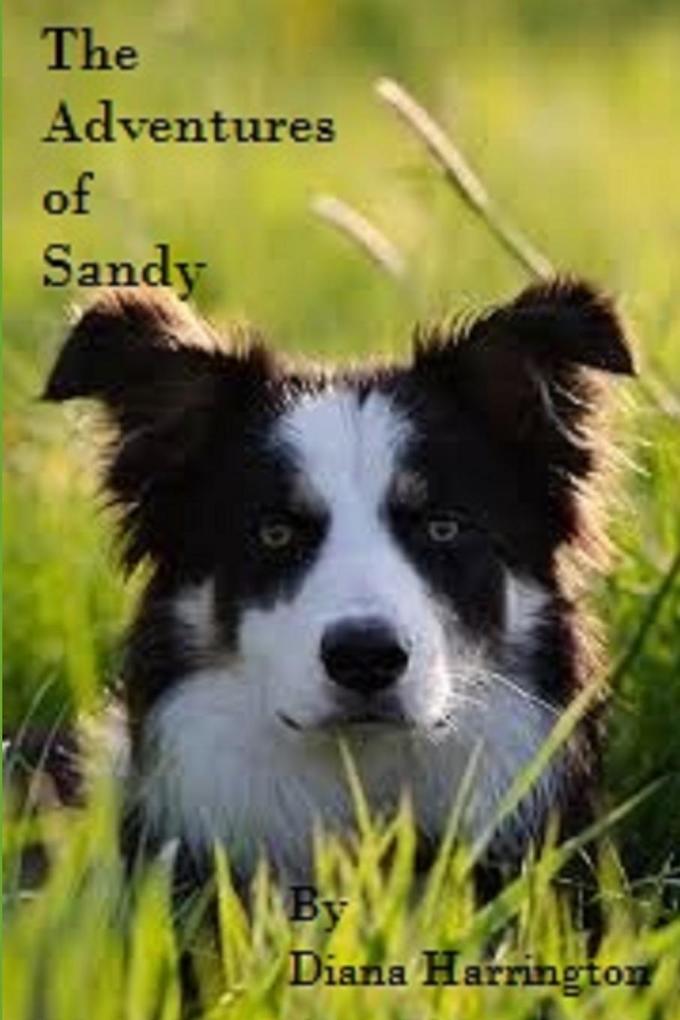 Adventures of Sandy Part I