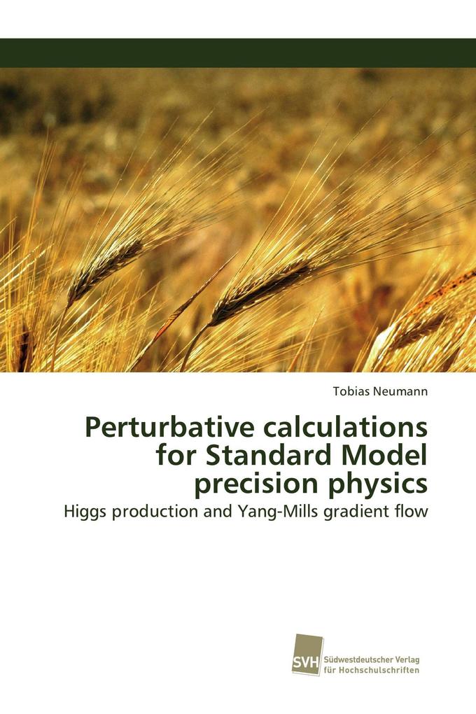 Perturbative calculations for Standard Model precision physics