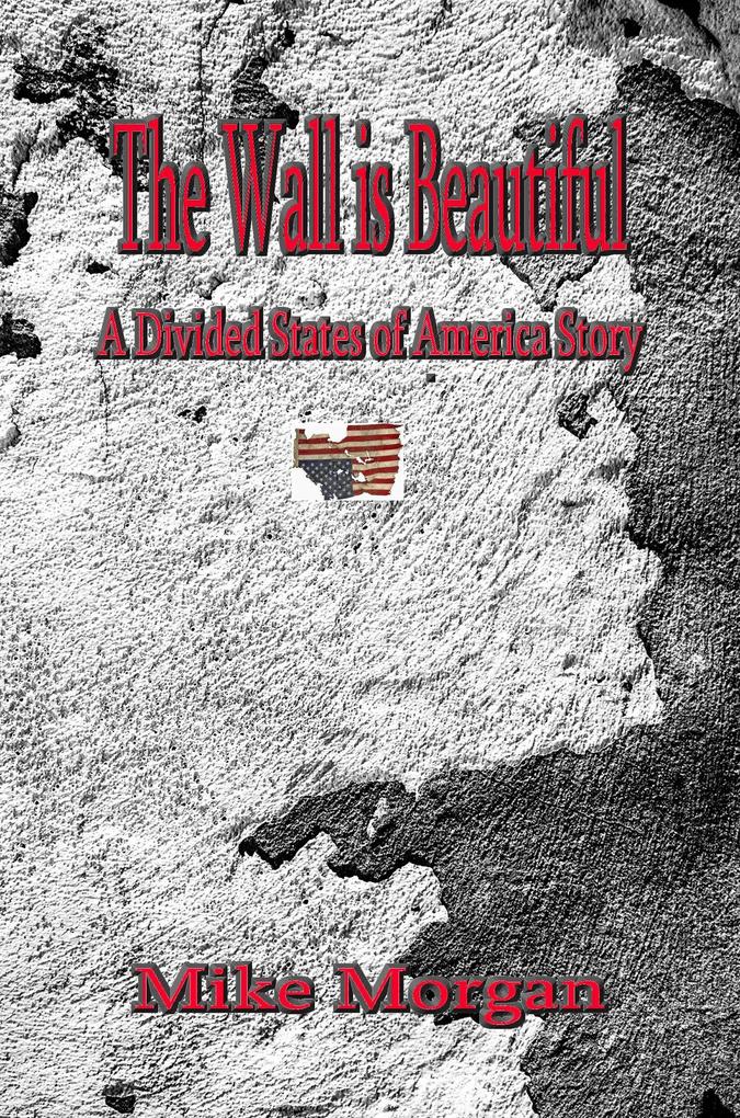 The Wall is Beautiful (The Divided States of America #2)