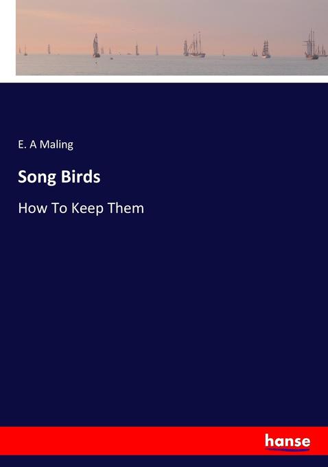 Image of Song Birds