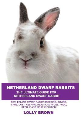 Netherland Dwarf Rabbits: Netherland Dwarf Rabbit Breeding Buying Care Cost Keeping Health Supplies Food Rescue and More Included! The U