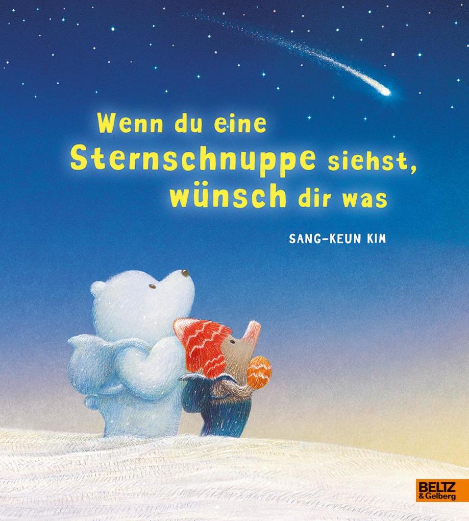 Image of Wenn du eine Sternschnuppe siehst wünsch dir was