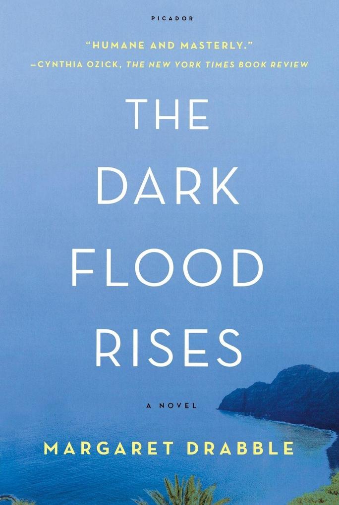 Dark Flood Rises
