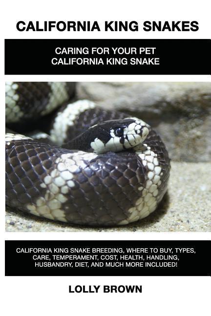 California King Snakes: California King Snake breeding where to buy types care temperament cost health handling husbandry diet and m