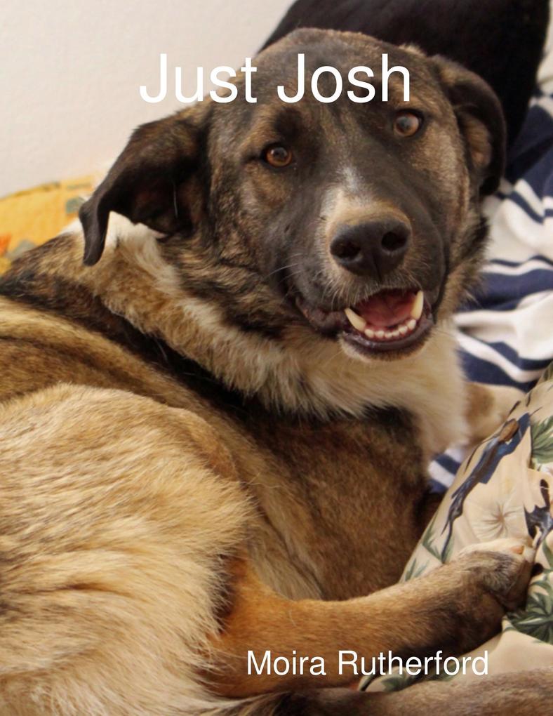 Just Josh
