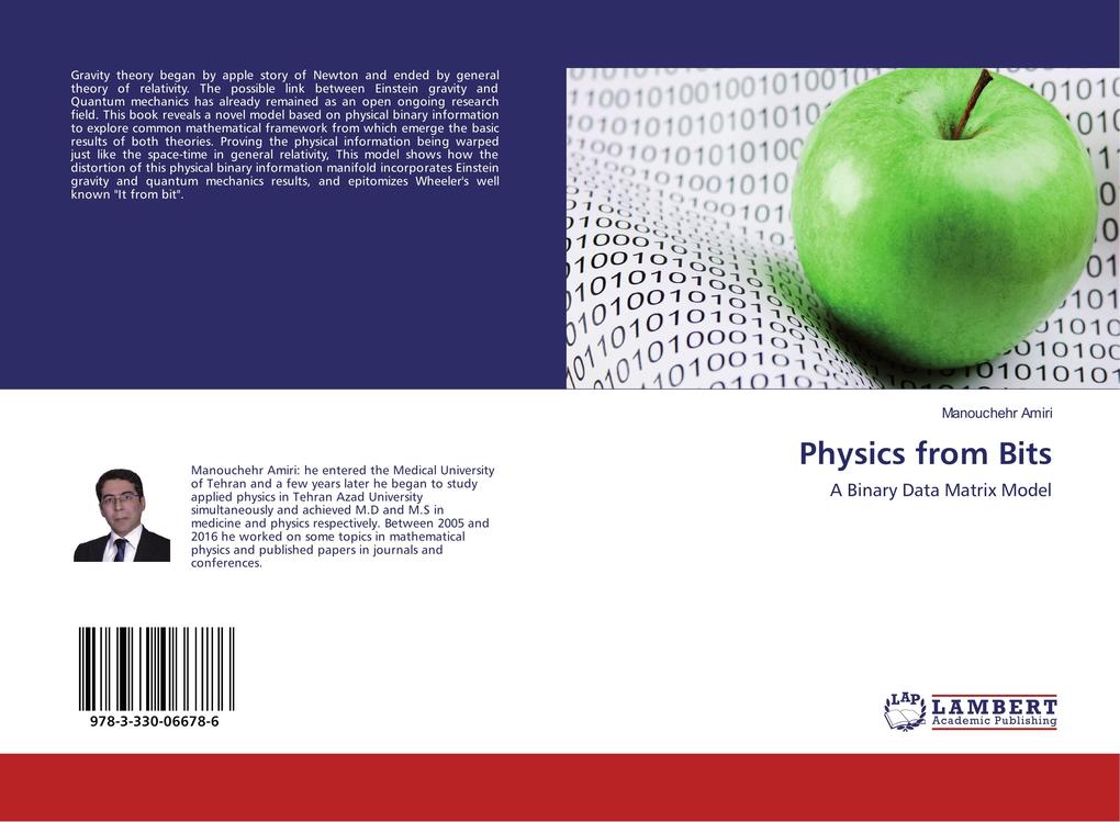 Physics from Bits