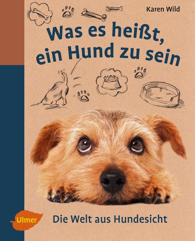 Bild 1 von 1