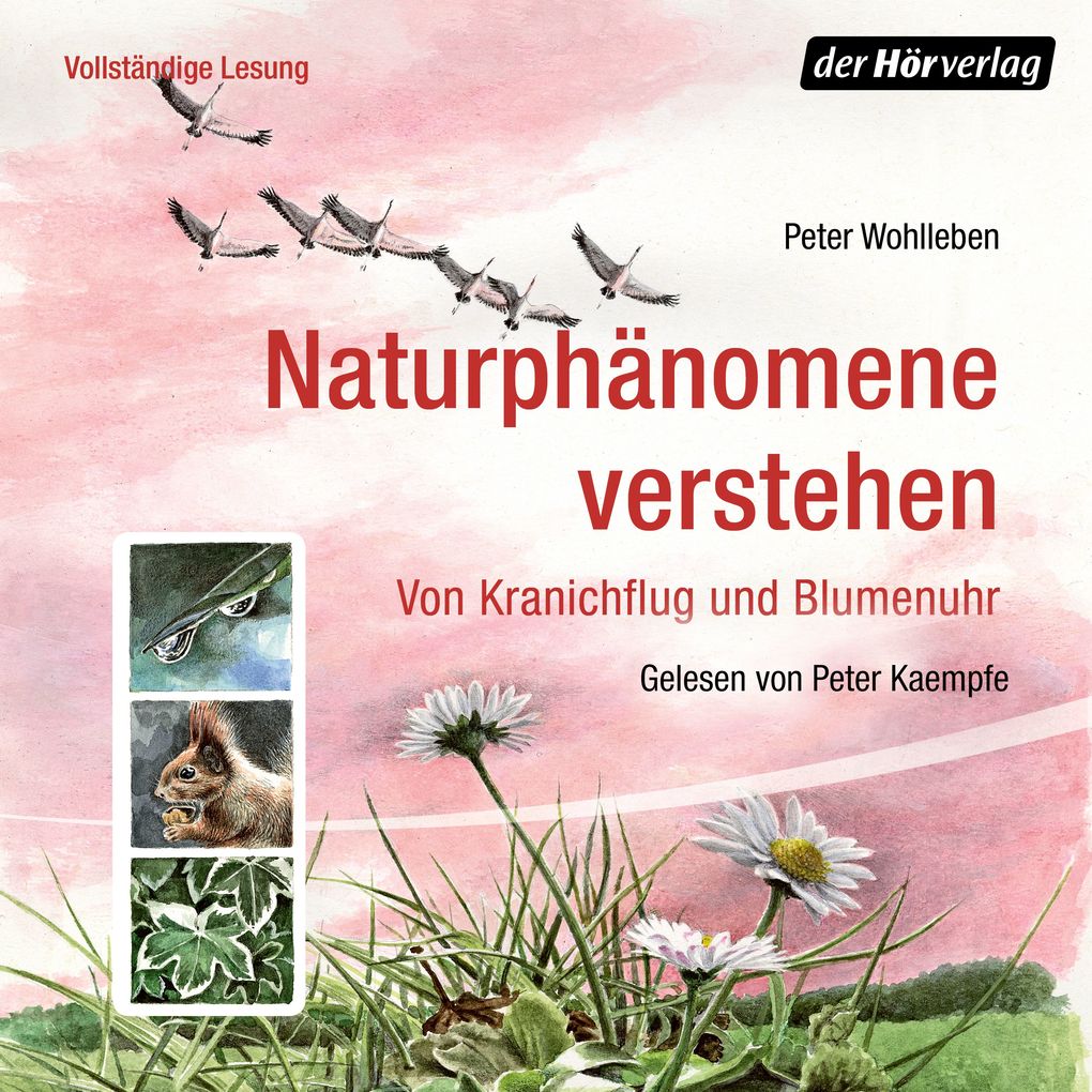 Naturphänomene verstehen