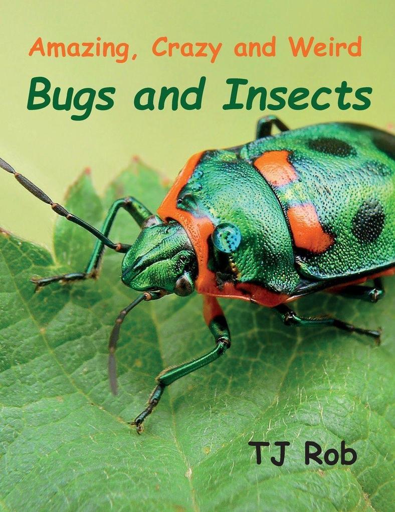 Amazing Crazy and Weird Bugs and Insects