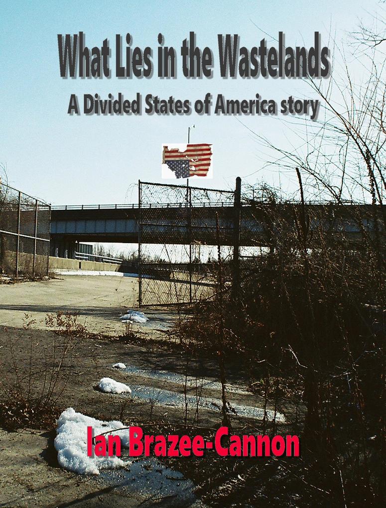 What Lies In the Wastelands (The Divided States of America #5)