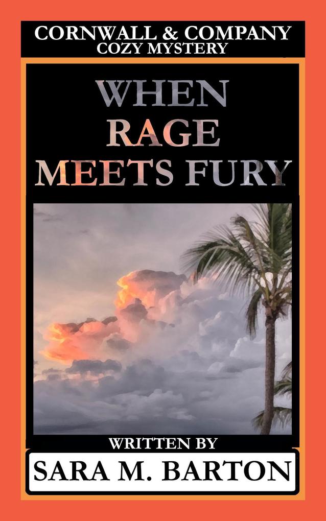 When Rage Meets Fury (A Cornwall & Company Mystery #4)