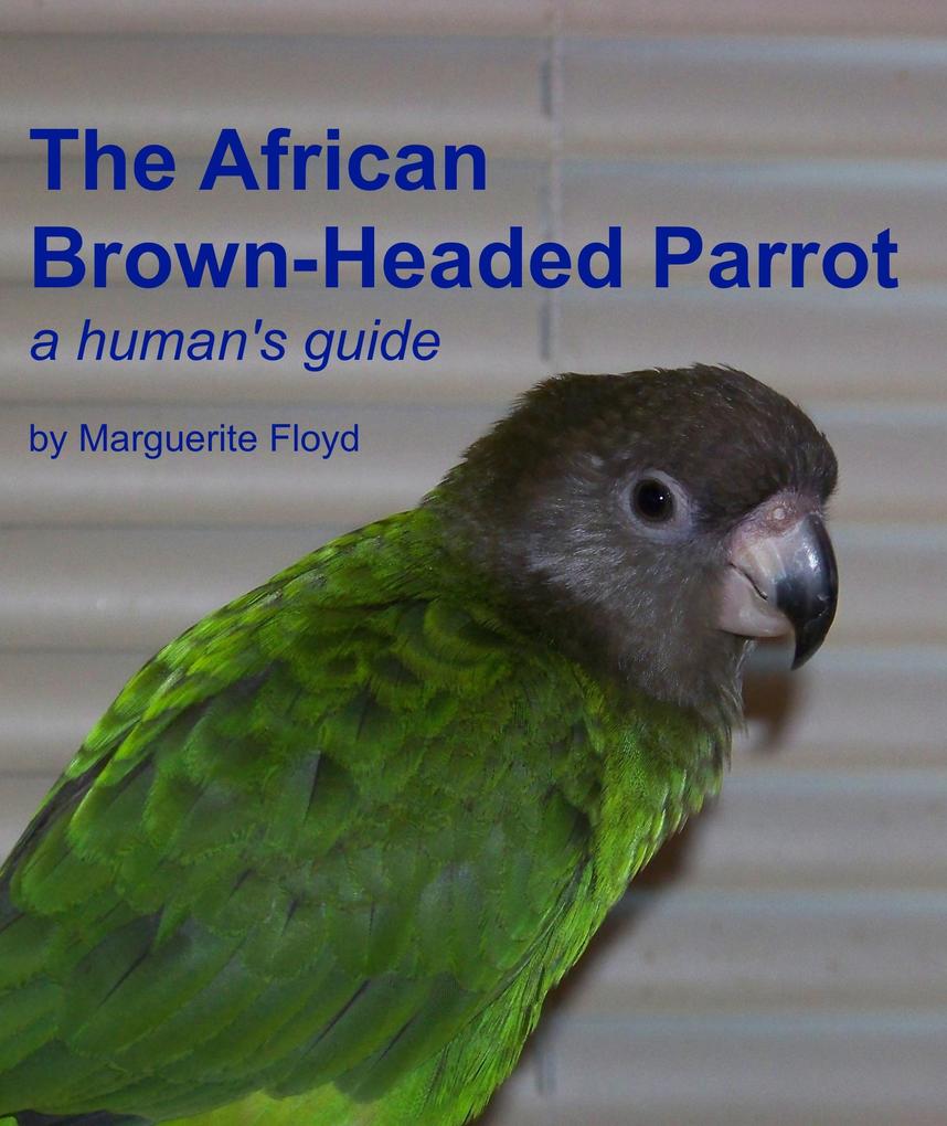 African Brown-Headed Parrot: A Human‘s Guide