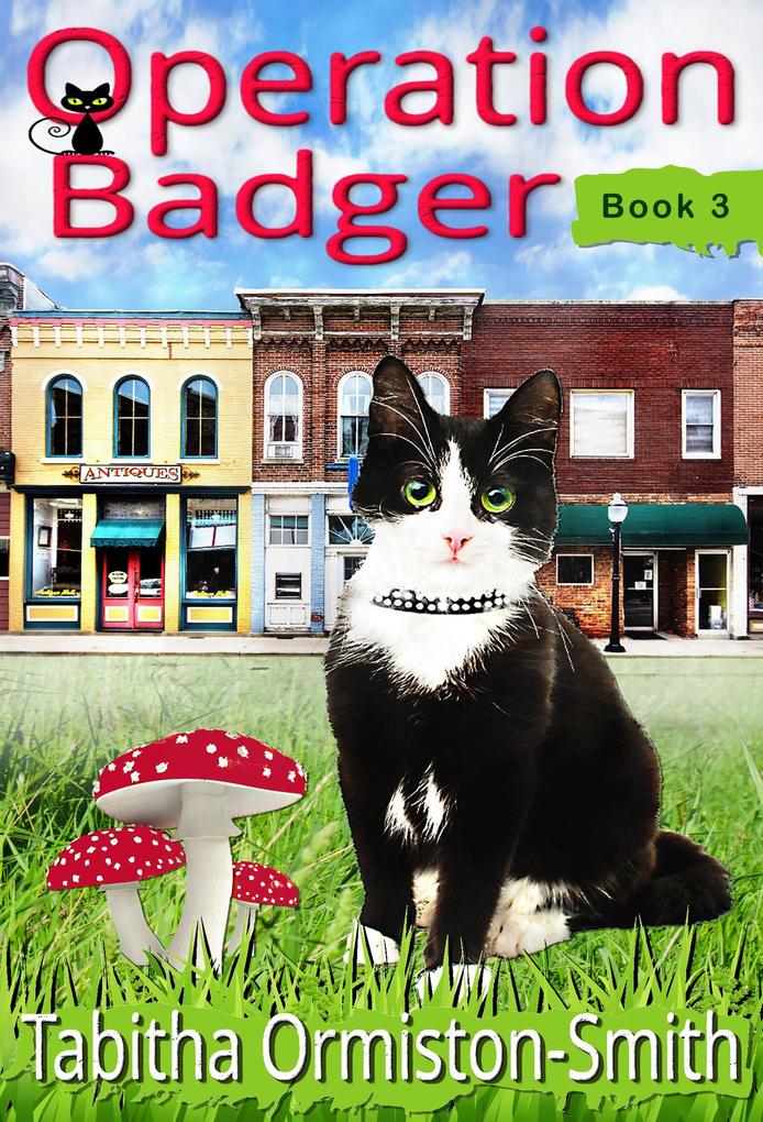 Operation Badger (Operation Tomcat #3)