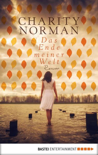Das Ende meiner Welt - Charity Norman