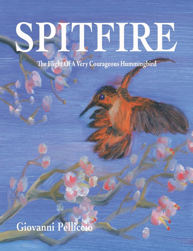 Spitfire - The Remarkable Flight Of A Very Courageous Hummingbird