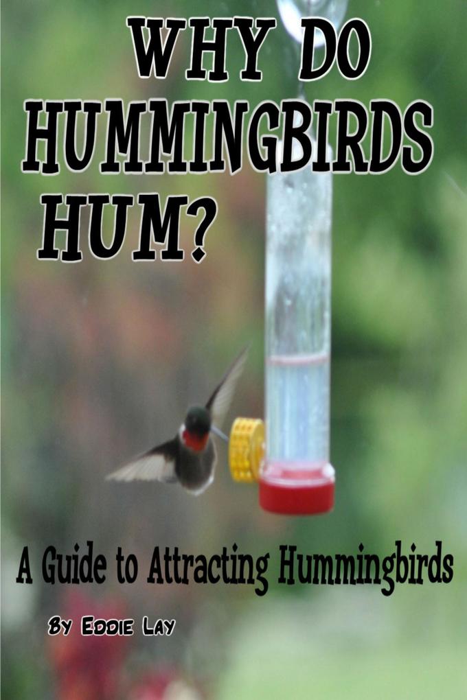Why Do Hummingbirds Humm?