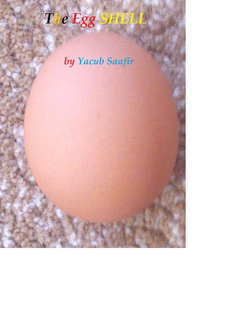 The Egg Shell