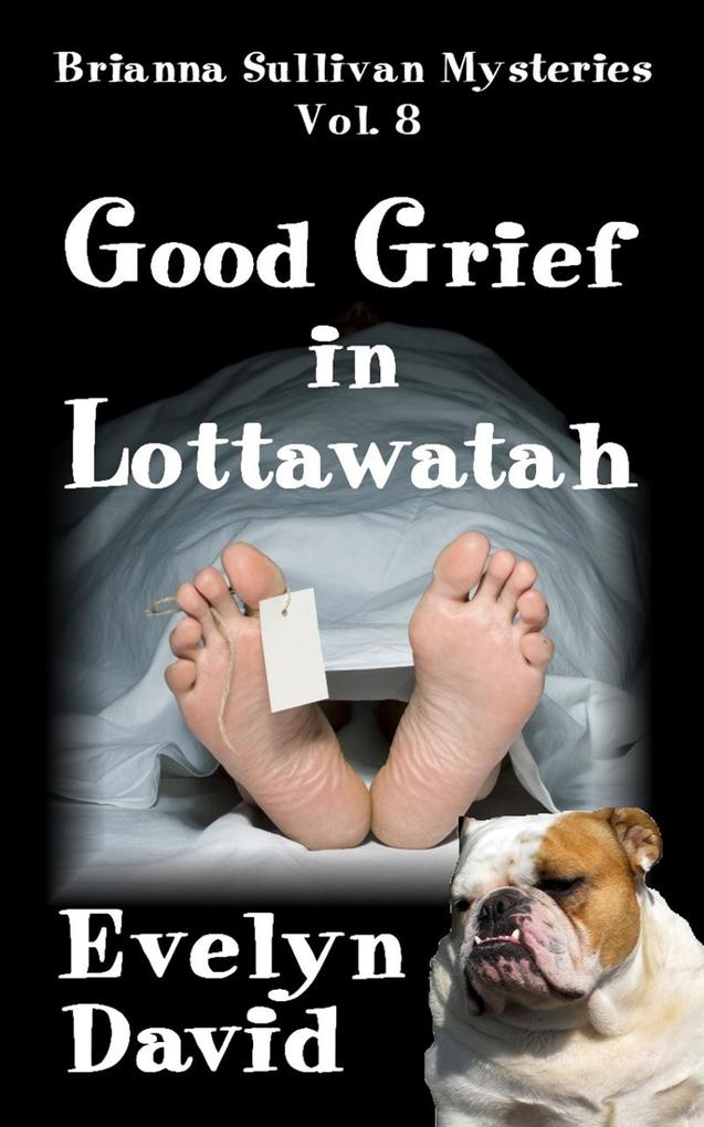 Good Grief in Lottawatah (Brianna Sullivan Mysteries #8)
