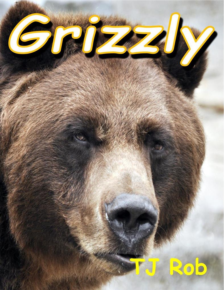 Grizzly (Discovering The World Around Us)