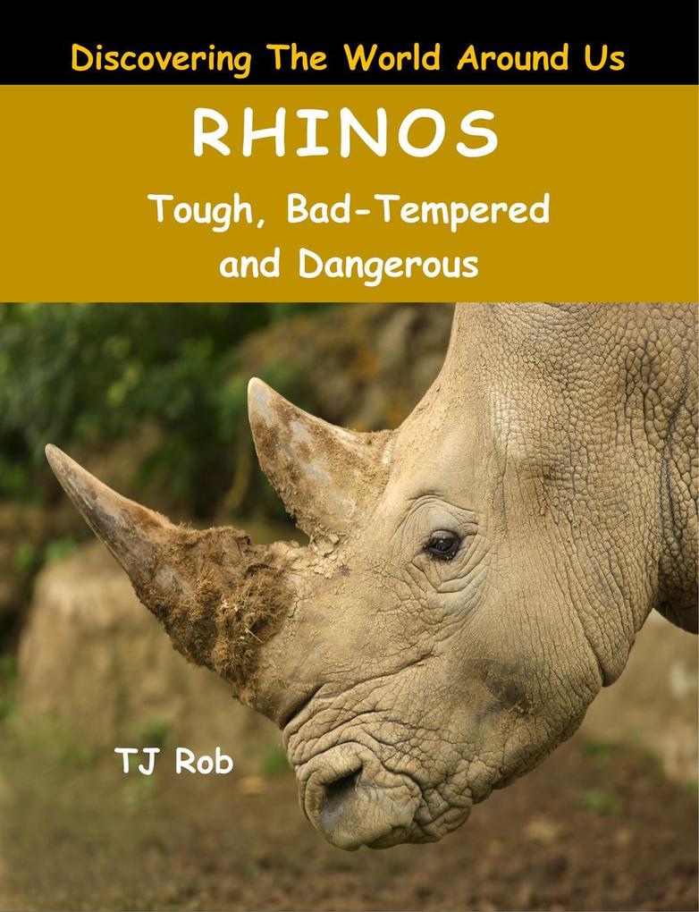 Rhinos (Discovering The World Around Us)