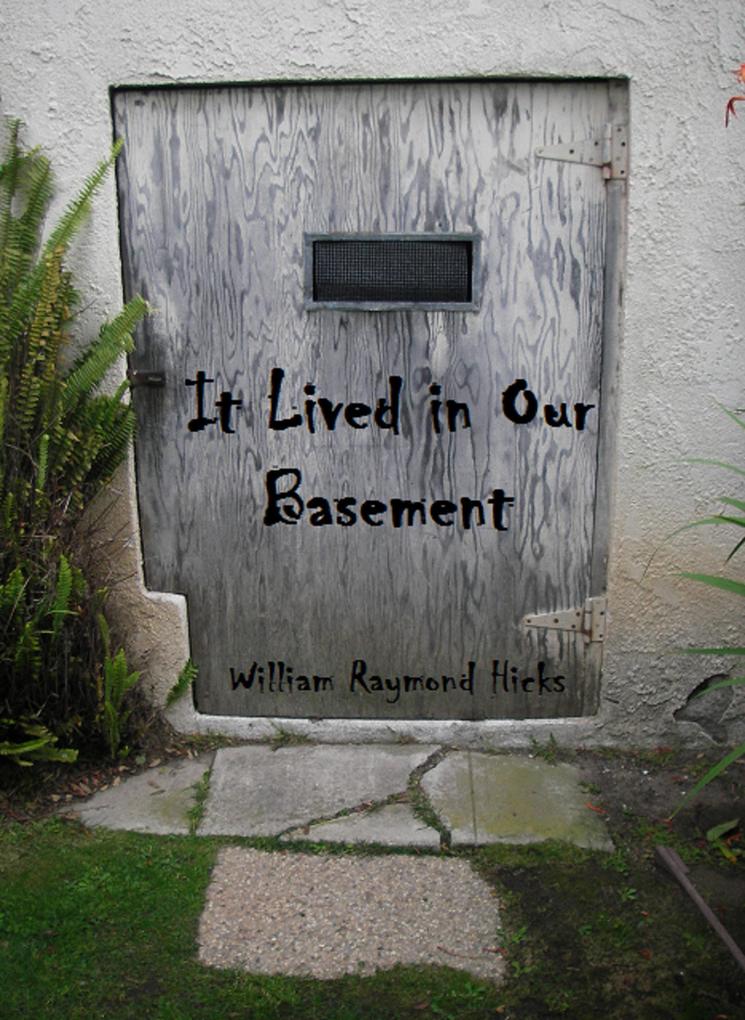 It Lived in Our Basement (Adventures with Joe #2)