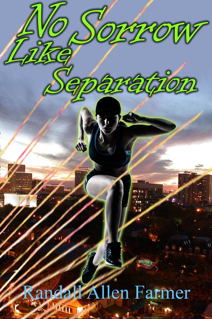 No Sorrow Like Separation (The Commander #5)