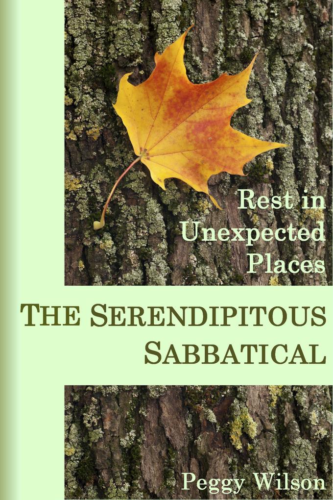 The Serendipitous Sabbatical: Rest in Unexpected Places