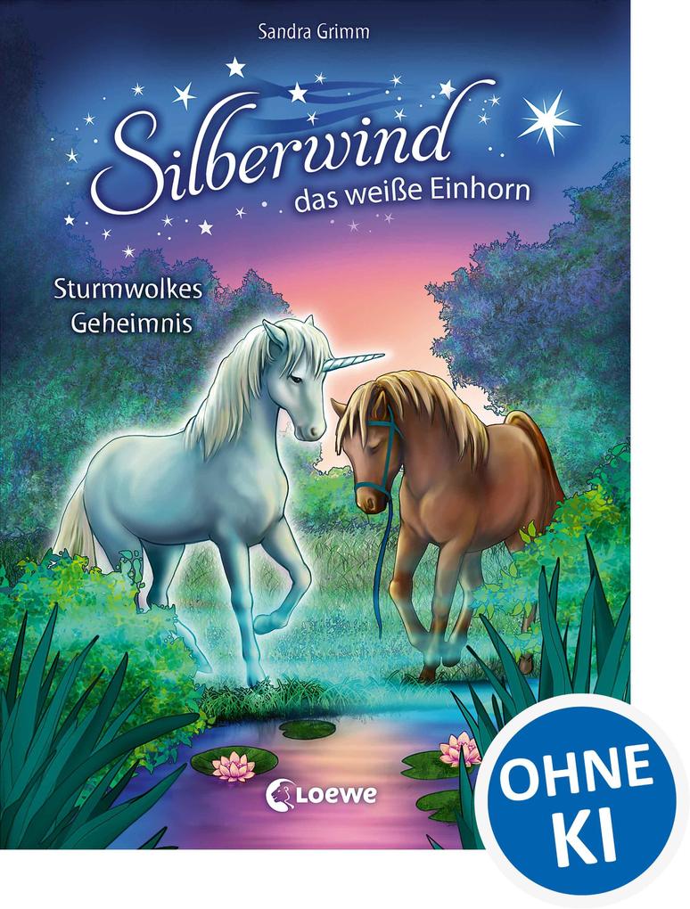 Silberwind das weiße Einhorn (Band 4) - Sturmwolkes Geheimnis