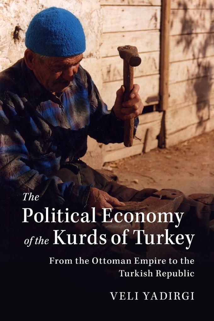 The Political Economy of the Kurds of Turkey