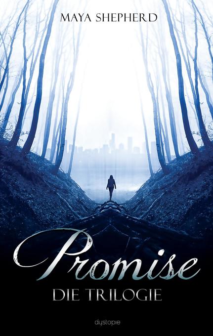 Image result for promise buch