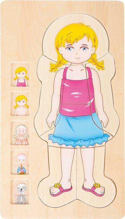 Schichtenpuzzle Anatomie Mädchen